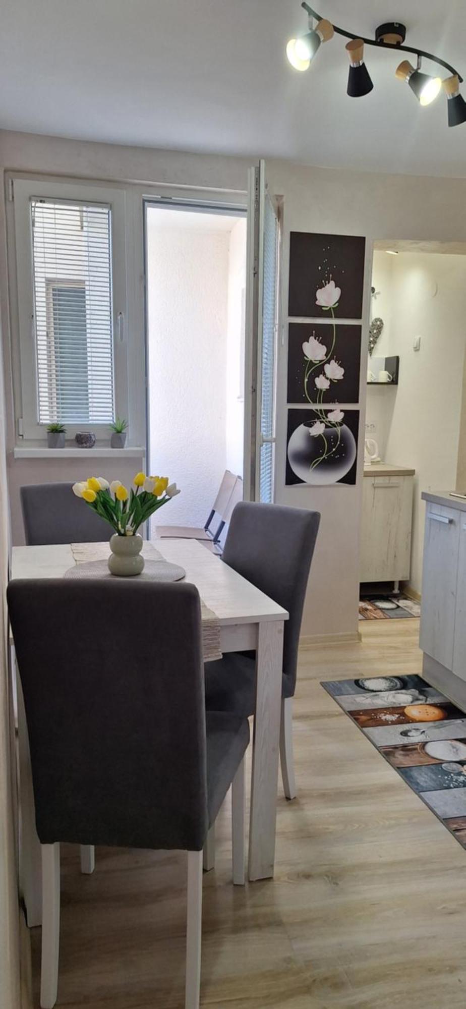 Apartman Lara ซูโบติกา ภายนอก รูปภาพ
